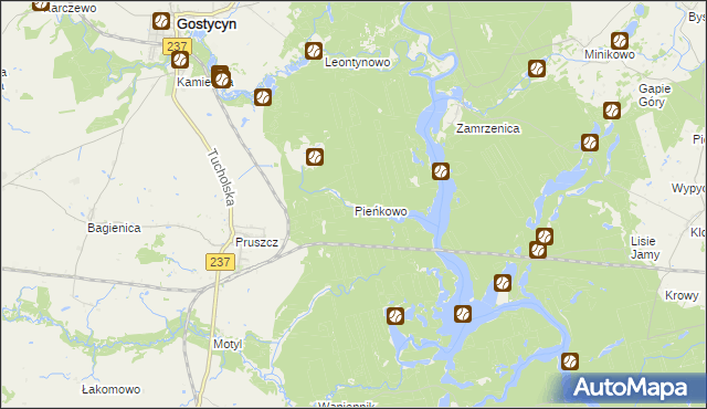 mapa Pieńkowo gmina Gostycyn, Pieńkowo gmina Gostycyn na mapie Targeo