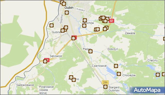 mapa Pleśno gmina Gubin, Pleśno gmina Gubin na mapie Targeo