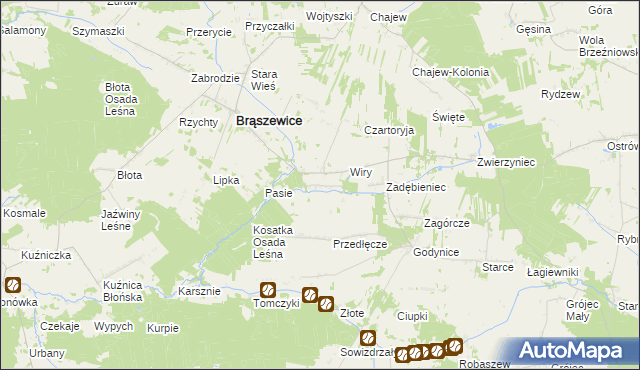 mapa Pluty gmina Brąszewice, Pluty gmina Brąszewice na mapie Targeo