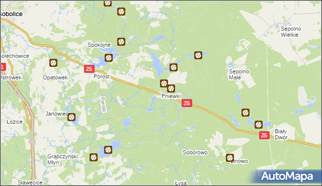 mapa Pniewki, Pniewki na mapie Targeo