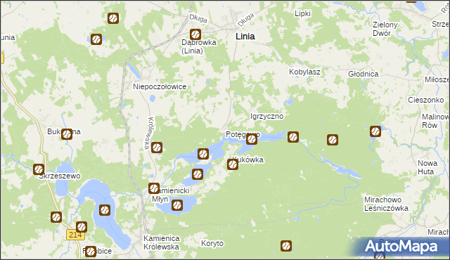 mapa Potęgowo gmina Linia, Potęgowo gmina Linia na mapie Targeo