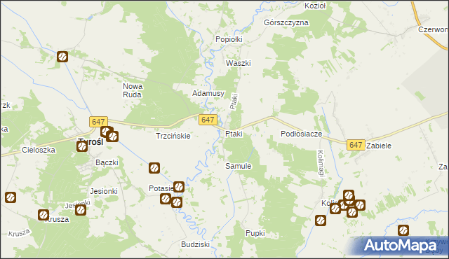 mapa Ptaki gmina Turośl, Ptaki gmina Turośl na mapie Targeo