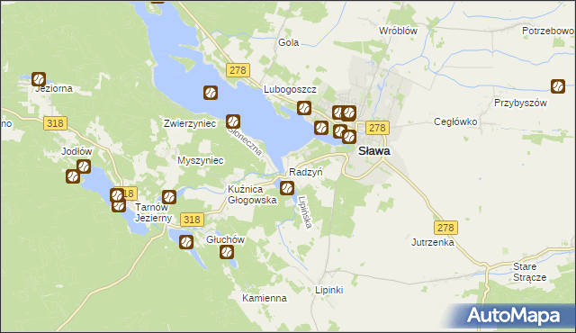 mapa Radzyń gmina Sława, Radzyń gmina Sława na mapie Targeo