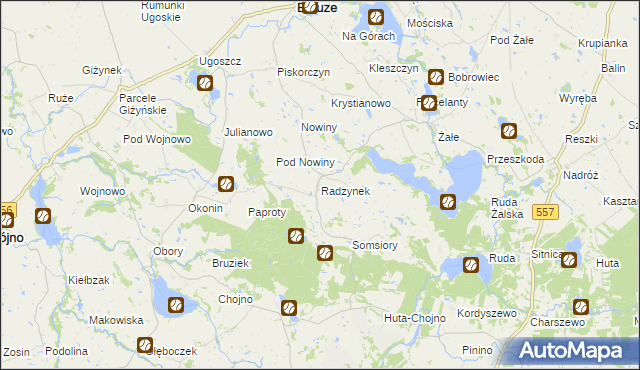 mapa Radzynek, Radzynek na mapie Targeo