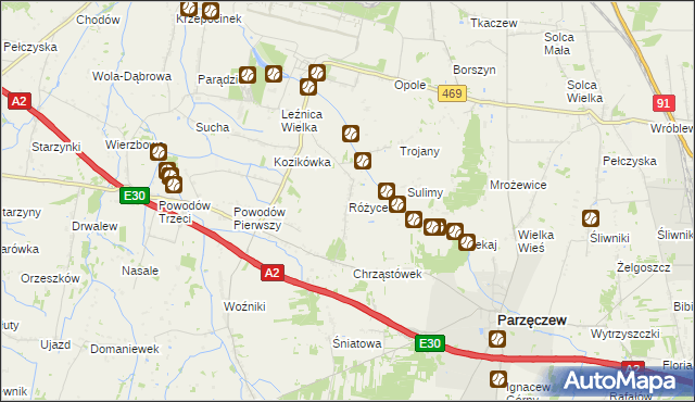 mapa Różyce gmina Parzęczew, Różyce gmina Parzęczew na mapie Targeo