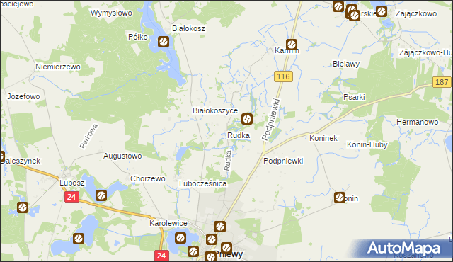 mapa Rudka gmina Pniewy, Rudka gmina Pniewy na mapie Targeo