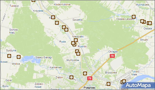 mapa Rudniki gmina Połaniec, Rudniki gmina Połaniec na mapie Targeo