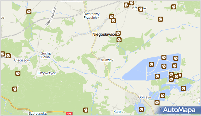 mapa Rudziny gmina Niegosławice, Rudziny gmina Niegosławice na mapie Targeo