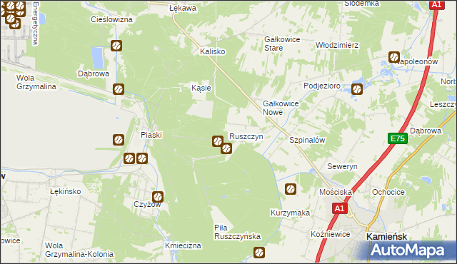 mapa Ruszczyn, Ruszczyn na mapie Targeo