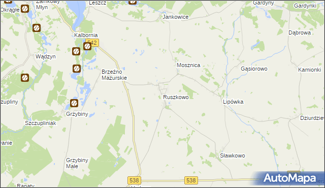 mapa Ruszkowo gmina Działdowo, Ruszkowo gmina Działdowo na mapie Targeo