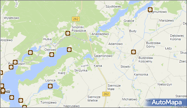 mapa Salamonowo, Salamonowo na mapie Targeo