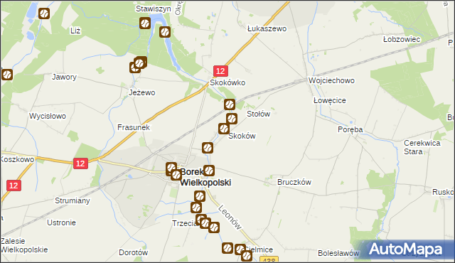 mapa Skoków gmina Borek Wielkopolski, Skoków gmina Borek Wielkopolski na mapie Targeo