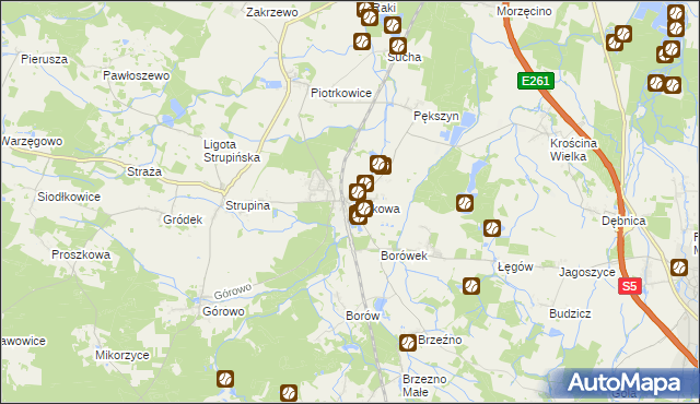 mapa Skokowa, Skokowa na mapie Targeo