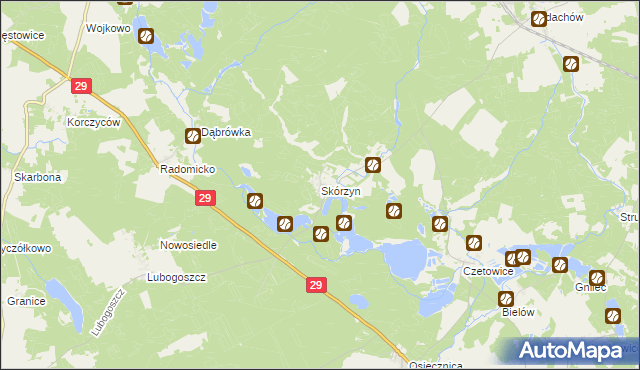 mapa Skórzyn gmina Maszewo, Skórzyn gmina Maszewo na mapie Targeo