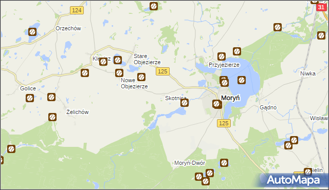 mapa Skotnica gmina Moryń, Skotnica gmina Moryń na mapie Targeo