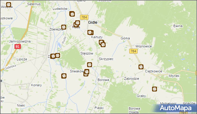 mapa Skrzypiec gmina Gidle, Skrzypiec gmina Gidle na mapie Targeo