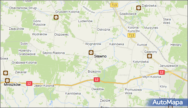 mapa Sławno powiat opoczyński, Sławno powiat opoczyński na mapie Targeo