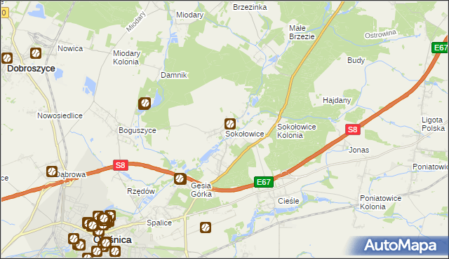 mapa Sokołowice gmina Oleśnica, Sokołowice gmina Oleśnica na mapie Targeo