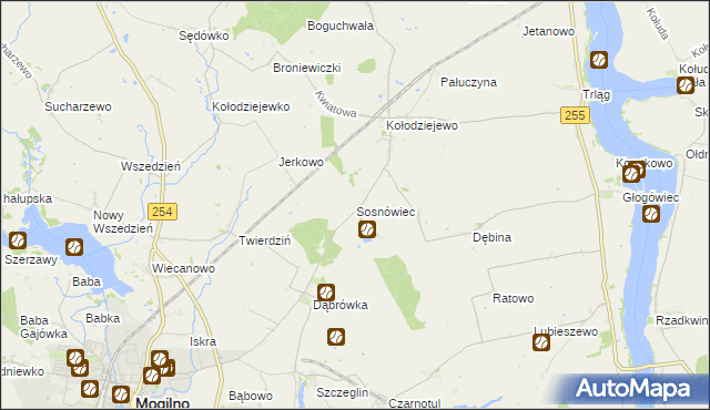 mapa Sosnowca, Sosnówiec na mapie Targeo