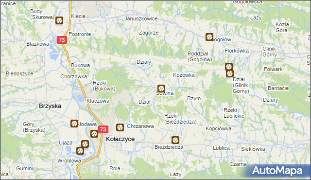 mapa Sowina gmina Kołaczyce, Sowina gmina Kołaczyce na mapie Targeo