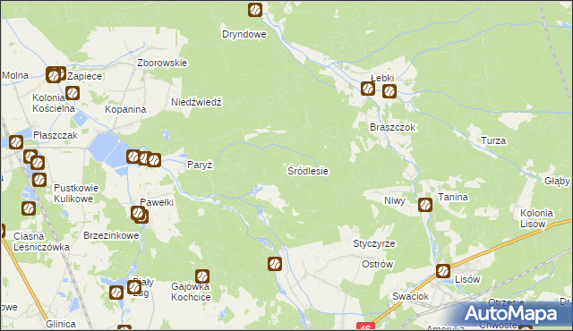 mapa Śródlesie gmina Kochanowice, Śródlesie gmina Kochanowice na mapie Targeo