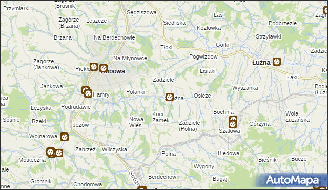 mapa Stróżna, Stróżna na mapie Targeo