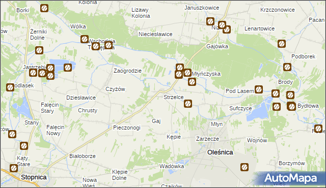 mapa Strzelce gmina Oleśnica, Strzelce gmina Oleśnica na mapie Targeo