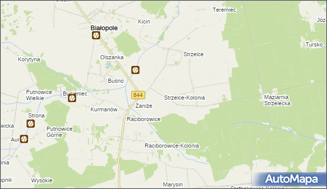 mapa Strzelce-Kolonia, Strzelce-Kolonia na mapie Targeo