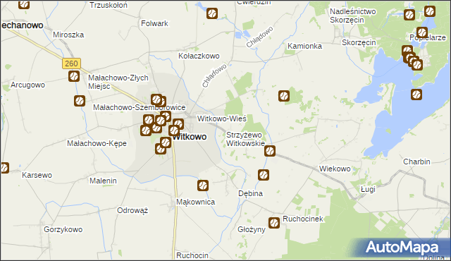 mapa Strzyżewo Witkowskie, Strzyżewo Witkowskie na mapie Targeo