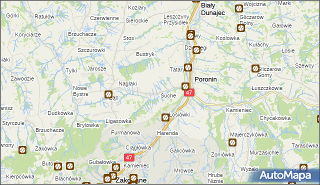 mapa Suche gmina Poronin, Suche gmina Poronin na mapie Targeo