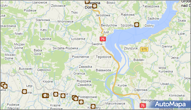 mapa Tęgoborze, Tęgoborze na mapie Targeo