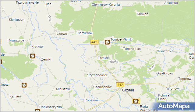 mapa Tomice gmina Gizałki, Tomice gmina Gizałki na mapie Targeo