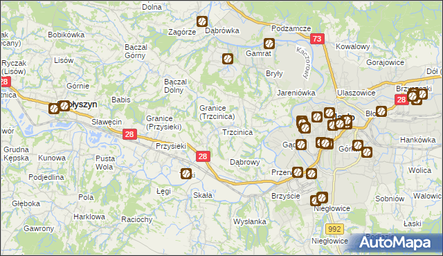 mapa Trzcinica gmina Jasło, Trzcinica gmina Jasło na mapie Targeo