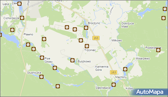 mapa Trzciniec gmina Czaplinek, Trzciniec gmina Czaplinek na mapie Targeo