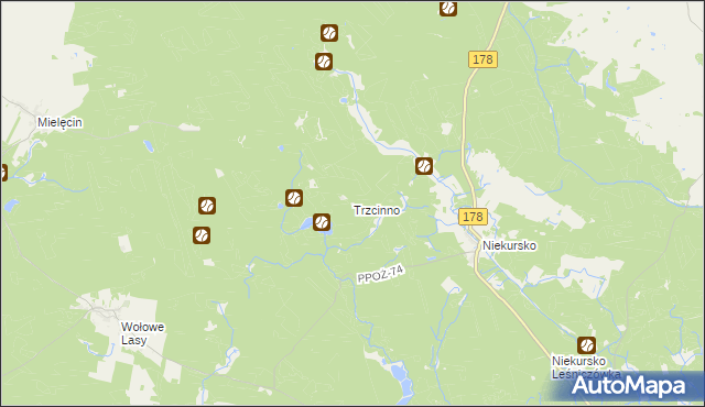 mapa Trzcinno gmina Człopa, Trzcinno gmina Człopa na mapie Targeo