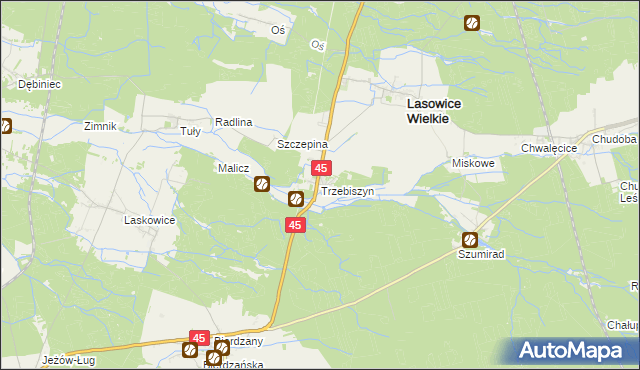 mapa Trzebiszyn gmina Lasowice Wielkie, Trzebiszyn gmina Lasowice Wielkie na mapie Targeo