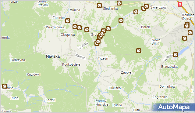 mapa Trześń gmina Niwiska, Trześń gmina Niwiska na mapie Targeo