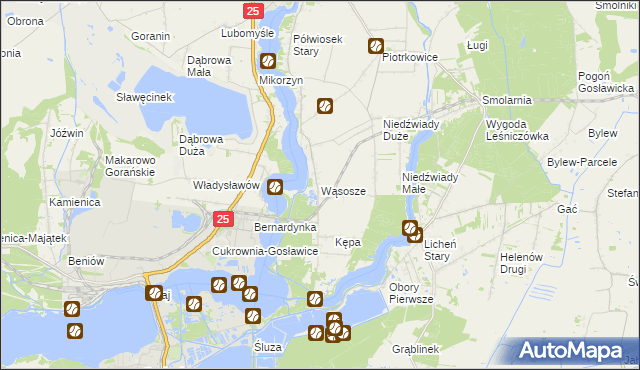 mapa Wąsosze gmina Ślesin, Wąsosze gmina Ślesin na mapie Targeo