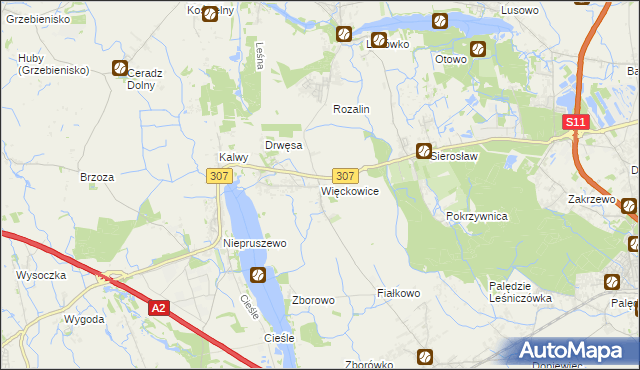 mapa Więckowice gmina Dopiewo, Więckowice gmina Dopiewo na mapie Targeo