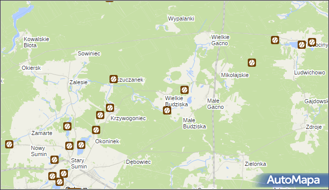 mapa Wielkie Budziska, Wielkie Budziska na mapie Targeo