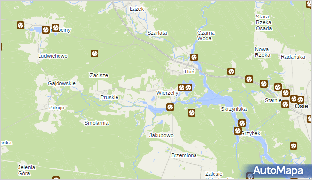 mapa Wierzchy gmina Osie, Wierzchy gmina Osie na mapie Targeo