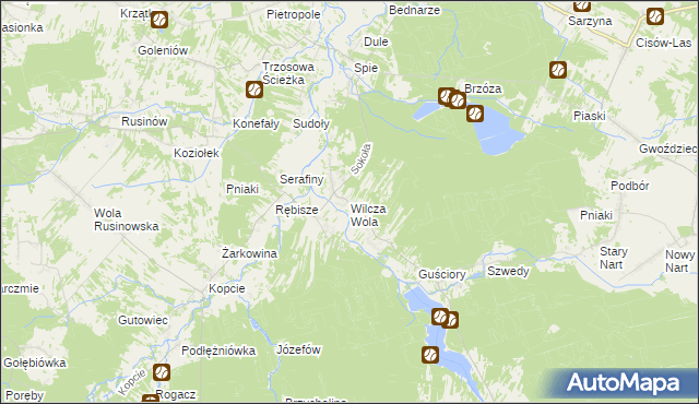 mapa Wilcza Wola gmina Dzikowiec, Wilcza Wola gmina Dzikowiec na mapie Targeo