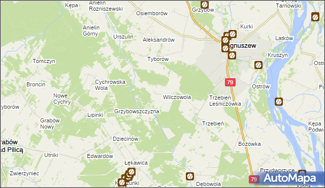 mapa Wilczowola gmina Magnuszew, Wilczowola gmina Magnuszew na mapie Targeo