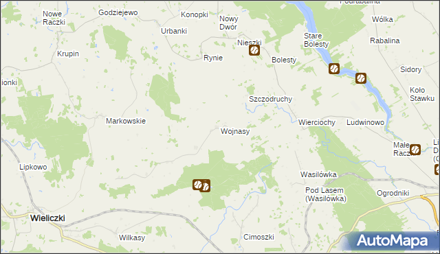 mapa Wojnasy gmina Wieliczki, Wojnasy gmina Wieliczki na mapie Targeo