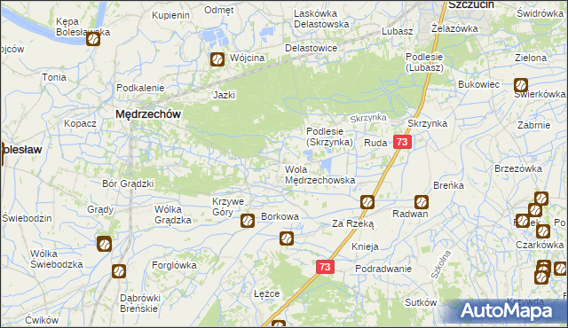 mapa Wola Mędrzechowska, Wola Mędrzechowska na mapie Targeo