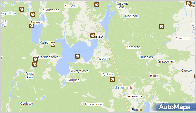 mapa Wycinki gmina Osiek, Wycinki gmina Osiek na mapie Targeo