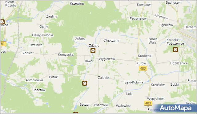 mapa Wygiełzów gmina Zelów, Wygiełzów gmina Zelów na mapie Targeo