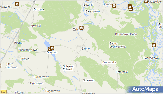 mapa Żabno gmina Brodnica, Żabno gmina Brodnica na mapie Targeo