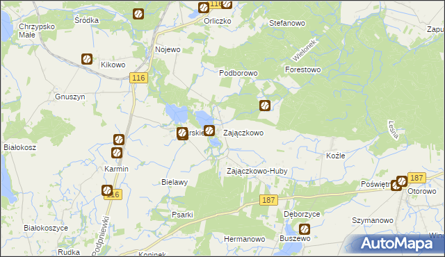 mapa Zajączkowo gmina Pniewy, Zajączkowo gmina Pniewy na mapie Targeo