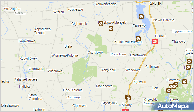 mapa Zalesie gmina Skulsk, Zalesie gmina Skulsk na mapie Targeo